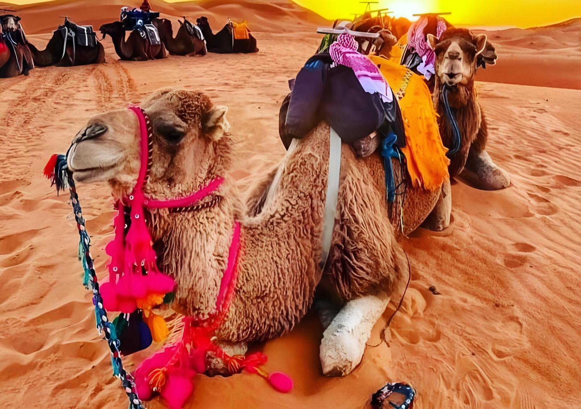 Merzouga Luxurious Tented Luaran gambar